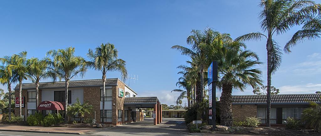 Citrus Valley Motel Renmark Exterior photo