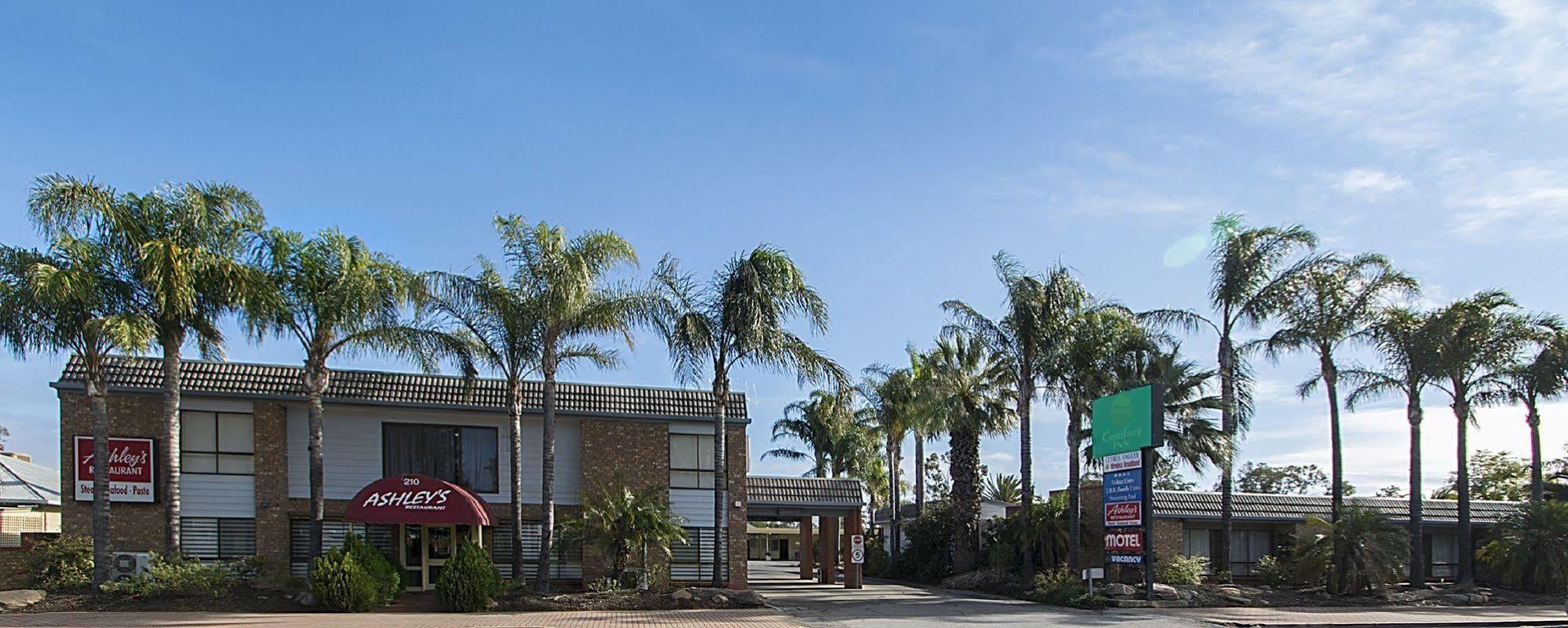Citrus Valley Motel Renmark Exterior photo